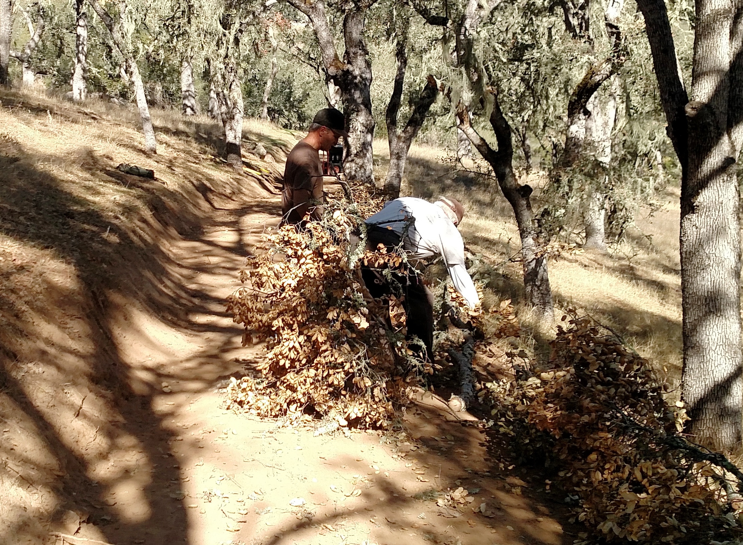 Trail has been reshaped and the outer edge covered.